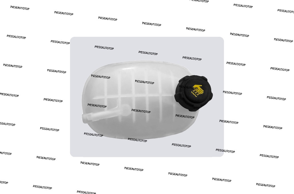 Vas expansiune Renault Captur 2 2020-2023 NOU 217102572R 217108864R (ECHIPAT CU CAPAC)