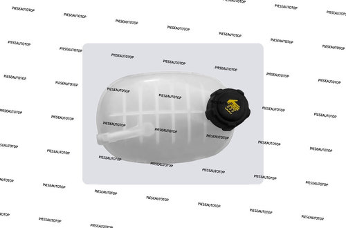Vas expansiune Renault Captur 2 2020- NOU 217102572R 217108864R (ECHIPAT CU CAPAC)