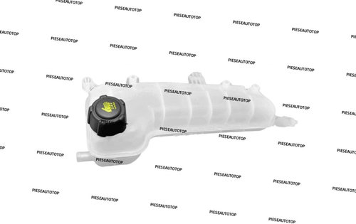 Vas expansiune Renault Clio 2 1.2 2002-2006 NOU 7701471925 (CU CAPAC)