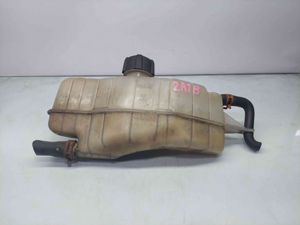 Vas expansiune Renault Clio 3 [Fabr 2005-2012] OEM
