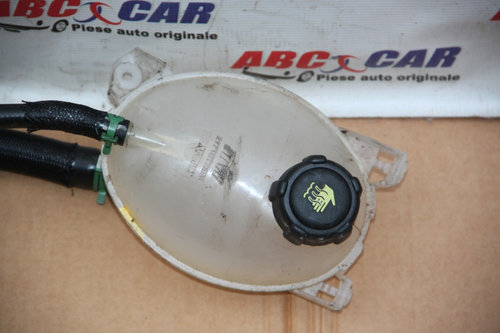 Vas expansiune Renault Clio 4 2012-2019 217107259R
