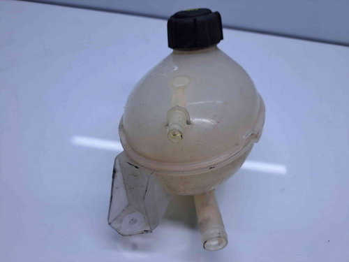 Vas expansiune Renault Clio 4 [Fabr 2012-2020] 2171000680R