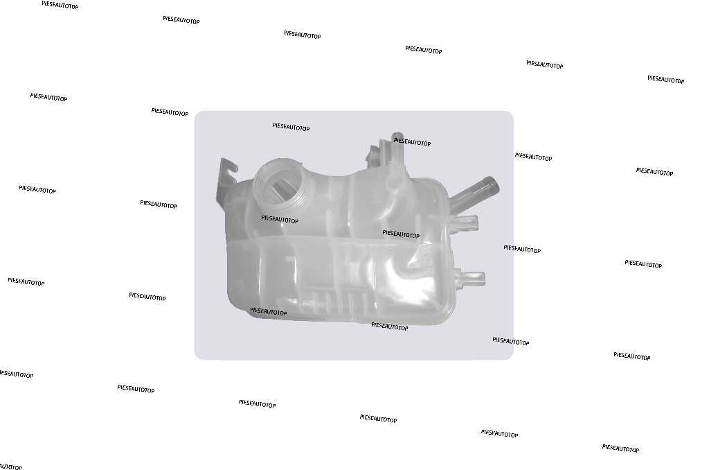 Vas expansiune Renault Fluence 2010-2015 NOU 217100005R (BENZINA / DIESEL)