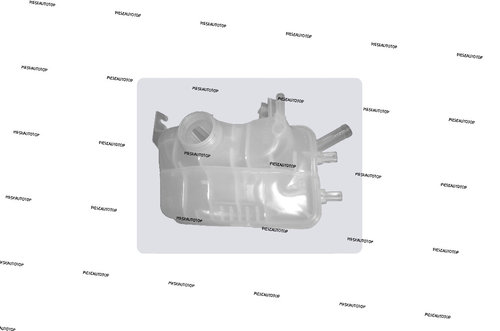 Vas expansiune Renault Fluence 2010-2015 NOU 217100005R (BENZINA / DIESEL)