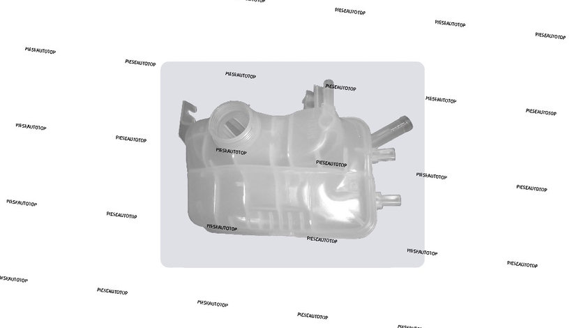 Vas expansiune Renault Fluence 2010-2015 NOU 217100005R (BENZINA / DIESEL)