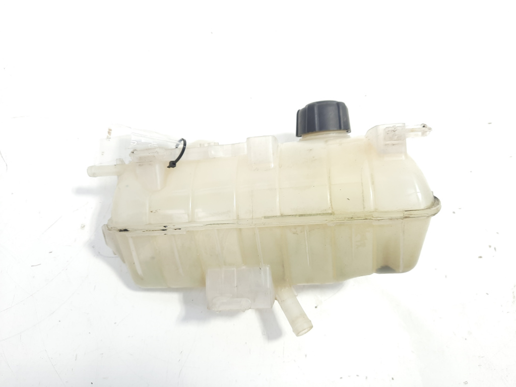 Vas expansiune, Renault Kangoo 2, 1.5 DCI (id:506835)