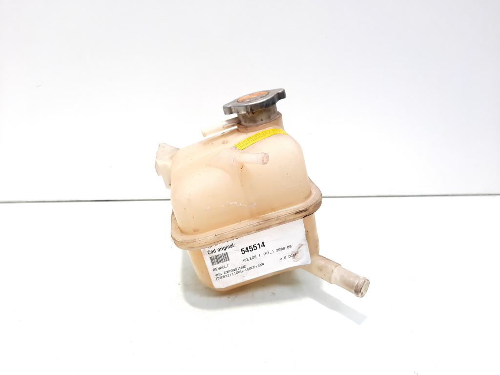 Vas expansiune, Renault Koleos 1, 2.0 DCI, M9R832 (id:545514)