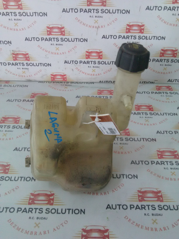 Vas expansiune RENAULT LAGUNA 2, 1.9 DCI