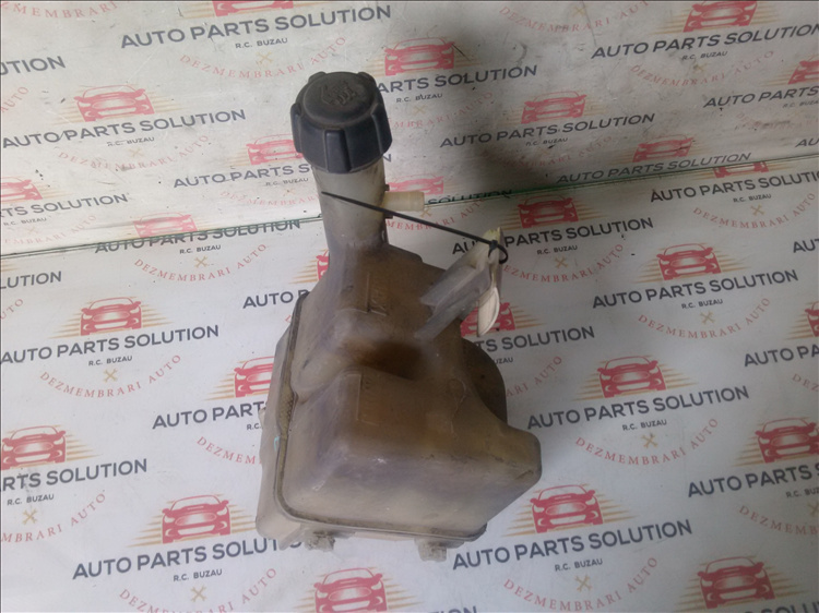 Vas expansiune RENAULT LAGUNA 2 1.9 DCI