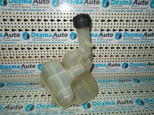Vas expansiune Renault Laguna 2, 1.9dci, 8200008864b