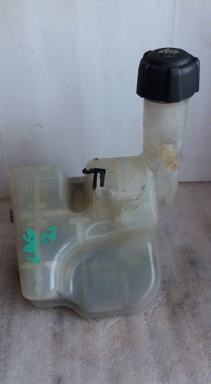 Vas expansiune renault laguna 2 2.0 dci 8200447047