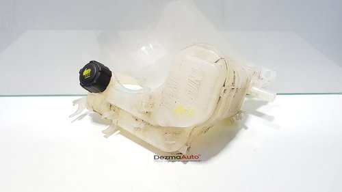 Vas expansiune, Renault Laguna 3, 2.0 dci, M9R802, 217100014R (id:392427)