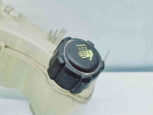 Vas expansiune Renault Laguna 3 Combi [Fabr 2007-2015] 217100014R