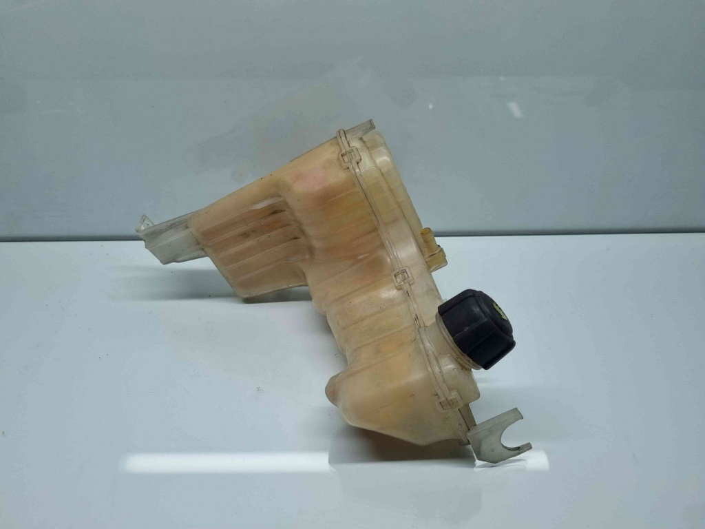 Vas expansiune Renault Laguna 3 Combi [Fabr 2007-2015] 217100014R