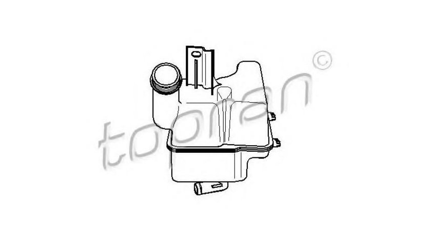 Vas expansiune Renault LAGUNA II (BG0/1_) 2001-2016 #2 03820