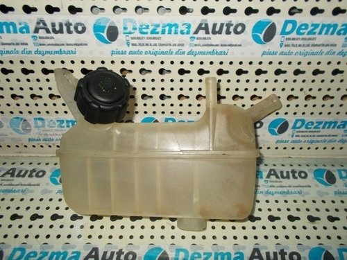 Vas expansiune Renault Megane 2, 1.5 dci