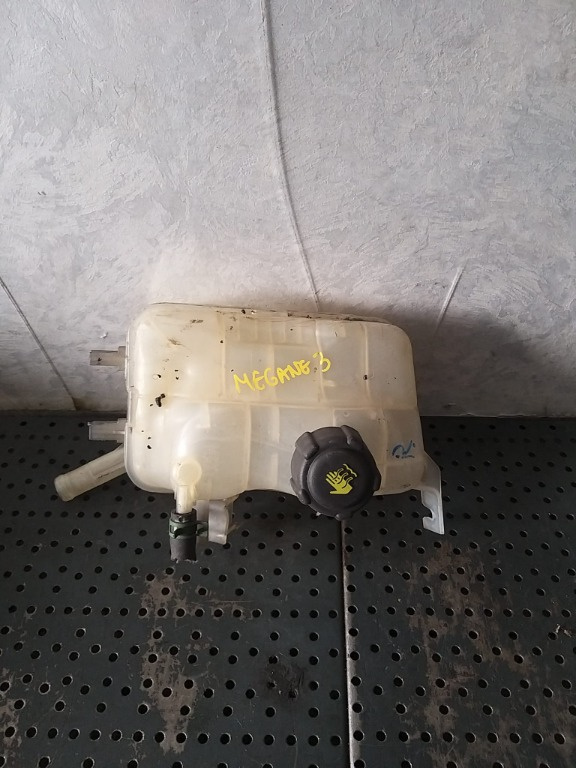 Vas expansiune renault megane 3 217100005r