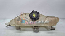 Vas expansiune Renault Modus [Fabr 2004-2012] 8200...