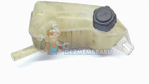 Vas expansiune Renault Scenic 2 [Fabr 2003-2008] 8...