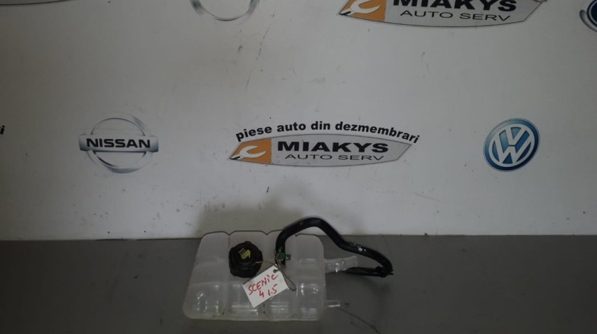 Vas expansiune Renault Scenic 4