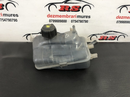 Vas expansiune RENAULT SCENIC III DCI PRIVILÈGE EURO 5, 81 KW/110 cp, 1461 cm³, sedan 2011 (217100...