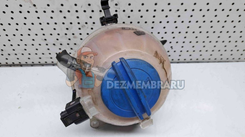 Vas expansiune Volkswagen Polo (6R) [Fabr 2009-2016] 6Q0121407B