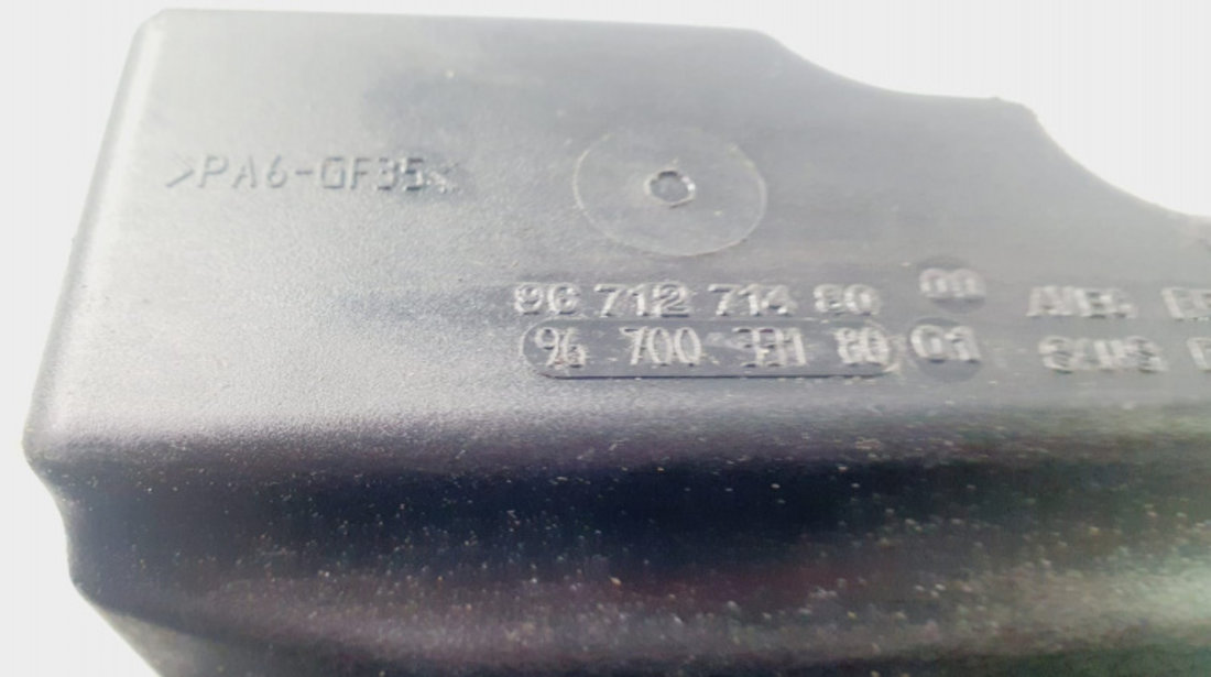 Vas filtru epurator gaze 2.0 tdci TXWA UFWA euro 5 9671271480 Peugeot 508 [2010 - 2014]