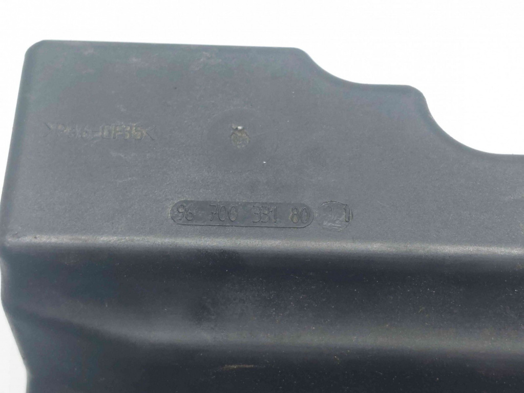 Vas filtru gaze Peugeot Expert (III) (G9) [Fabr 2007-2015] 9670033180 2.0 DW10CD 2.0 DW10CD 94KW / 128CP