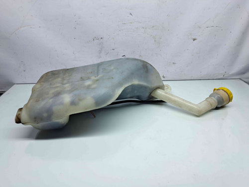 Vas lichid parbriz Renault Megane 3 Combi [Fabr 2008-2015] 289100014R
