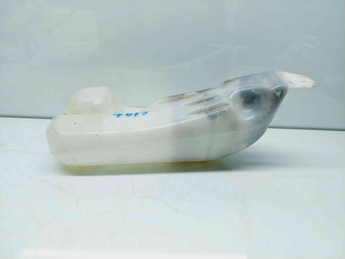 Vas lichid parbriz Renault Scenic 3 (J95) Facelift [Fabr 2009-2015] 289100014R