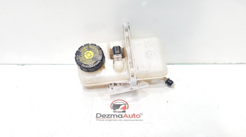 Vas lichid servo, Renault Scenic 3, cod 460910004R (id:380139)