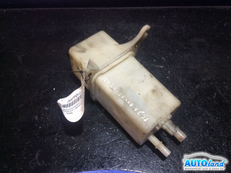 Vas Servodirectie Peugeot BOXER bus 2006