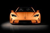Vencer Sarthe