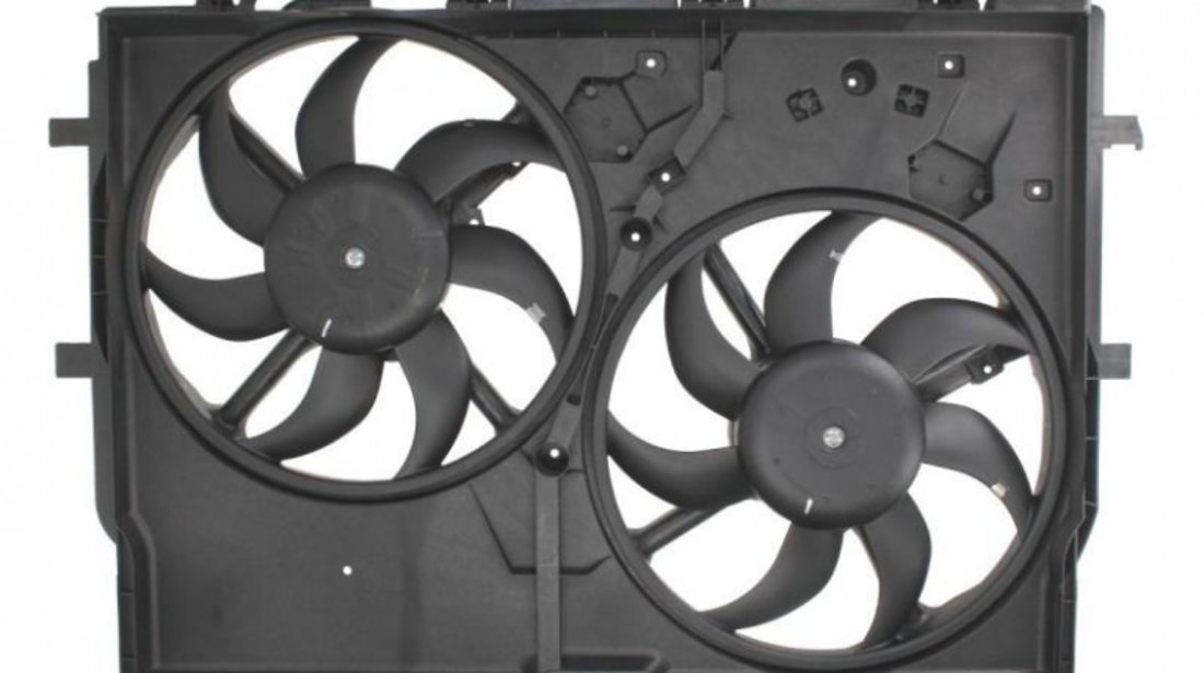 Ventilator racire Fiat DUCATO caroserie (250, 290) 2006-2016 #4 069422583010