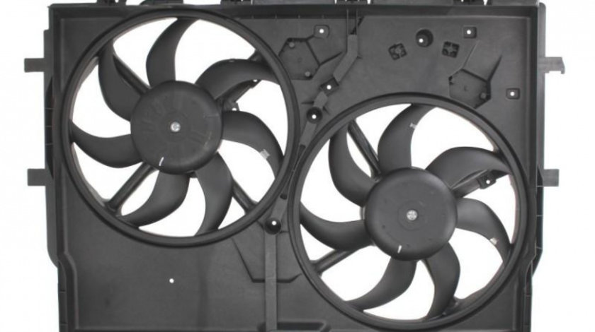 Ventilator racire Fiat DUCATO caroserie (250, 290) 2006-2016 #4 069422583010