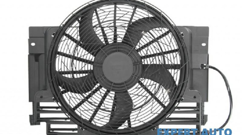 Ventilator, radiator BMW X5 (E53) 2000-2006 #2 304020