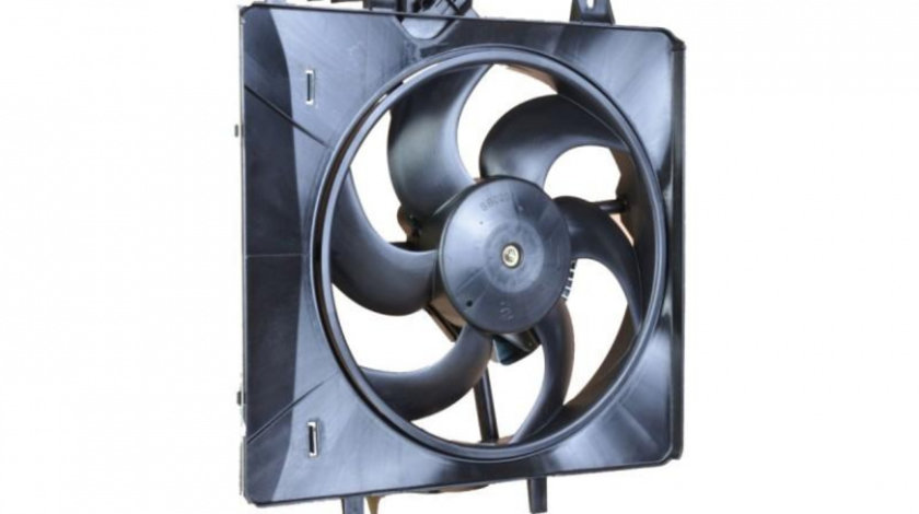 Ventilator, radiator Citroen C3 Pluriel (HB_) 2003-2016 #2 05032006