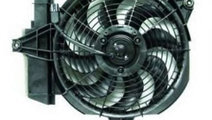 Ventilator, radiator HYUNDAI SANTA FE I (SM) (2000...