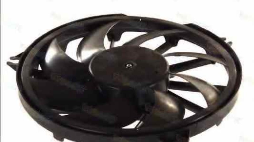 Ventilator radiator PEUGEOT 206 SW 2E/K THERMOTEC D8P002TT