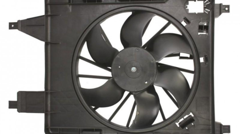 Ventilator, radiator Renault MEGANE II (BM0/1_, CM0/1_) 2002-2011 #2 05090607