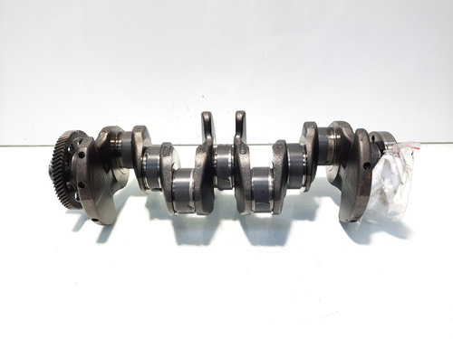 Vibrochen, cod 38AA, Audi A6 (4F2, C6), 2.0 TDI, BLB (idi:572491)