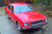 vicanezu72