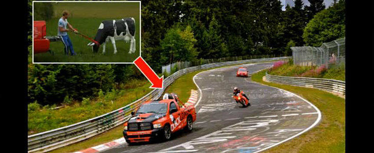 VIDEO: Cu vaca in spinare pe circuitul de la Nurburgring