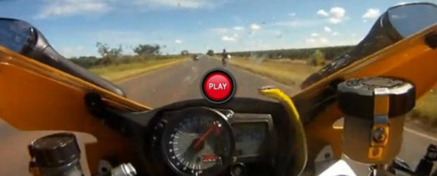 VIDEO: Un motociclist s-a trezit cu un sarpe pe ghidon la 240 kilometri pe ora!