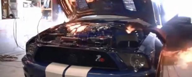 Video: Un Shelby GT500 de 800 CP explodeaza pe dyno!