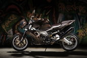 Vilner Aprilia Stingray