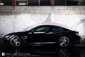 Vilner Bullshark