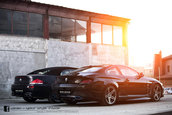 Vilner Bullshark
