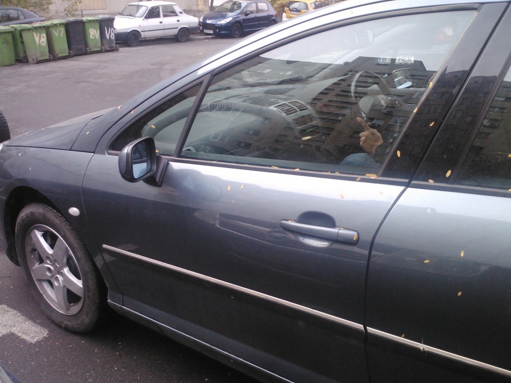 Vindem Usa Stanga Fata Peugeot 407