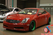 VIP Auto Fashion 2006